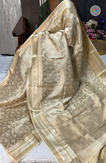 Brocade Patola Tissue Saree - Champagne