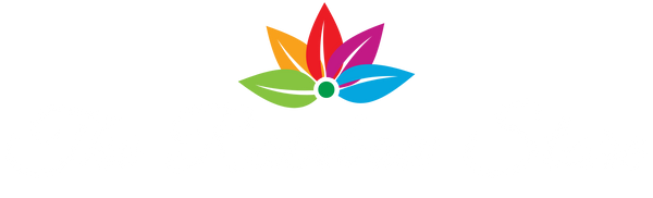 The Rainbow Store